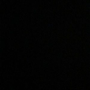 Meet your Posher, Lizzy